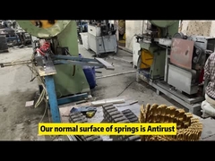 Primavera em ziguezague