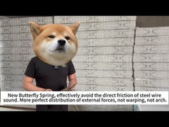 Primavera de borboleta